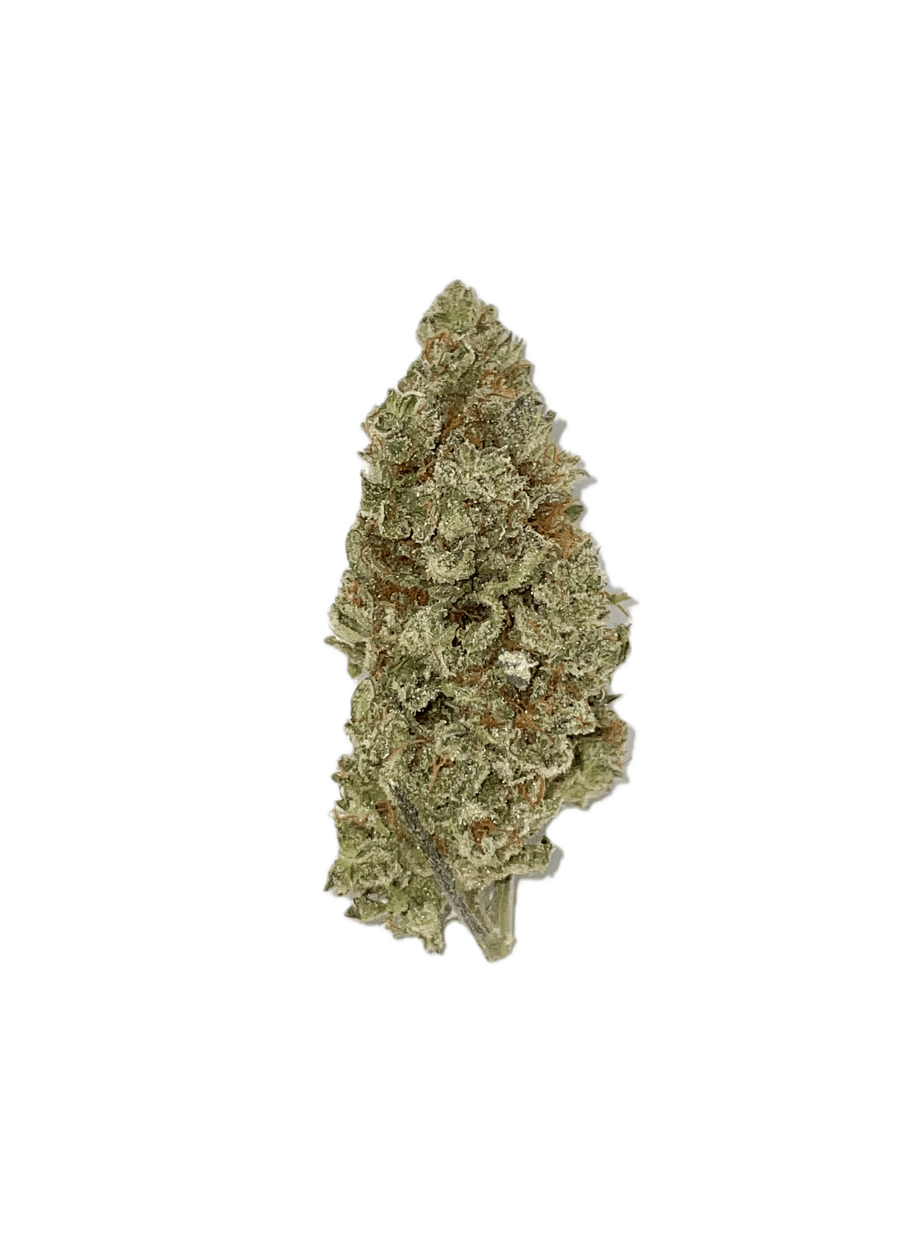 Dynastree - 🍒 Cherry Do Si Do 60% I 40% S - 1