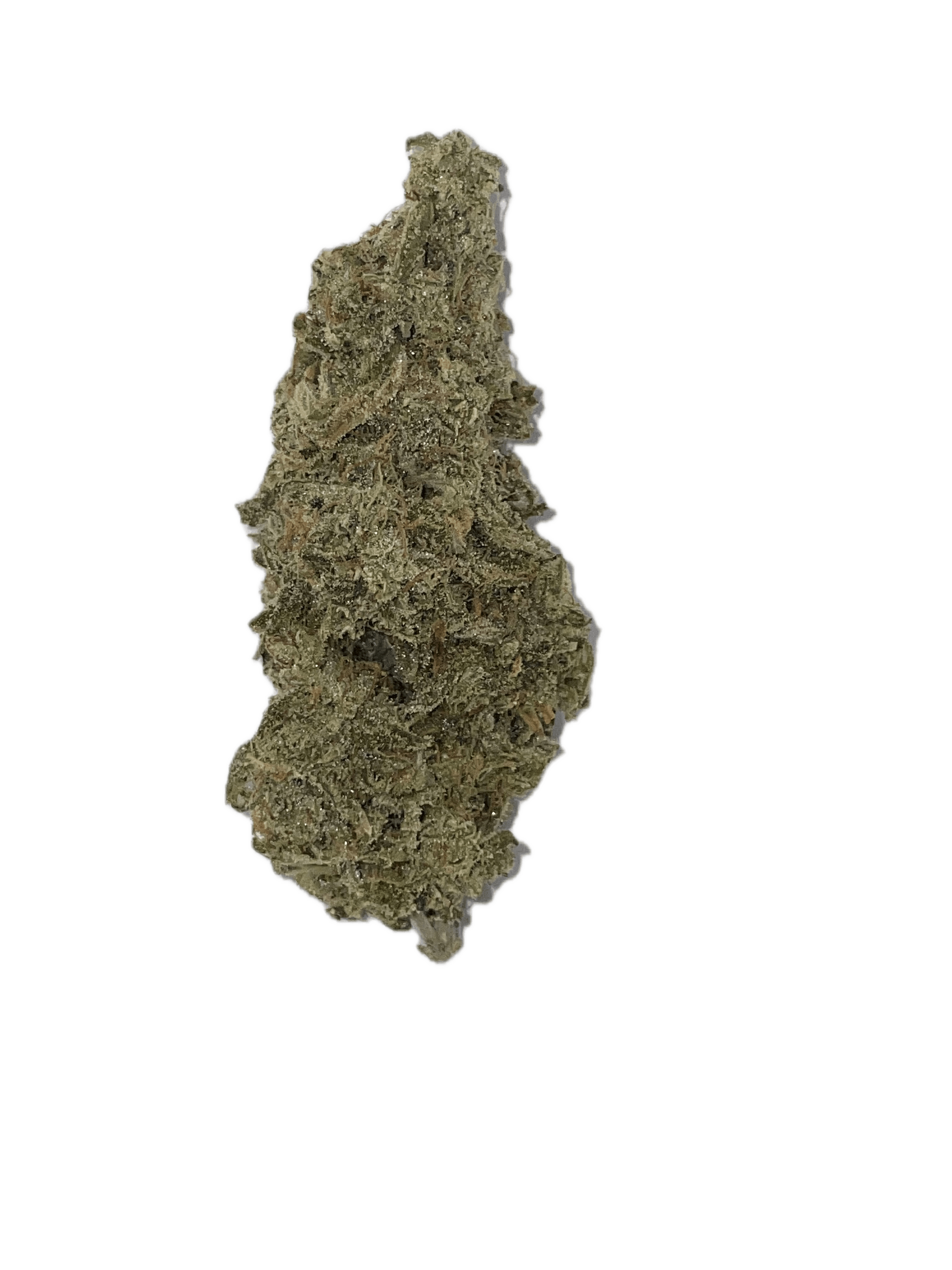 Dynastree - 🏀 Larry Bird Wood - 70% I 30% S - 1