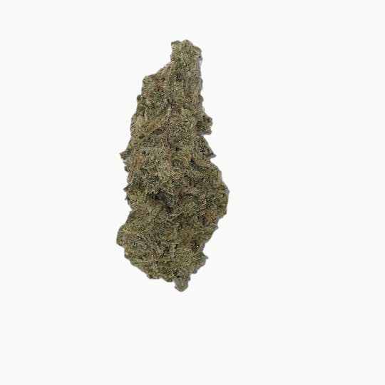 Dynastree - 🏀 Larry Bird Wood - 70% I 30% S - 1