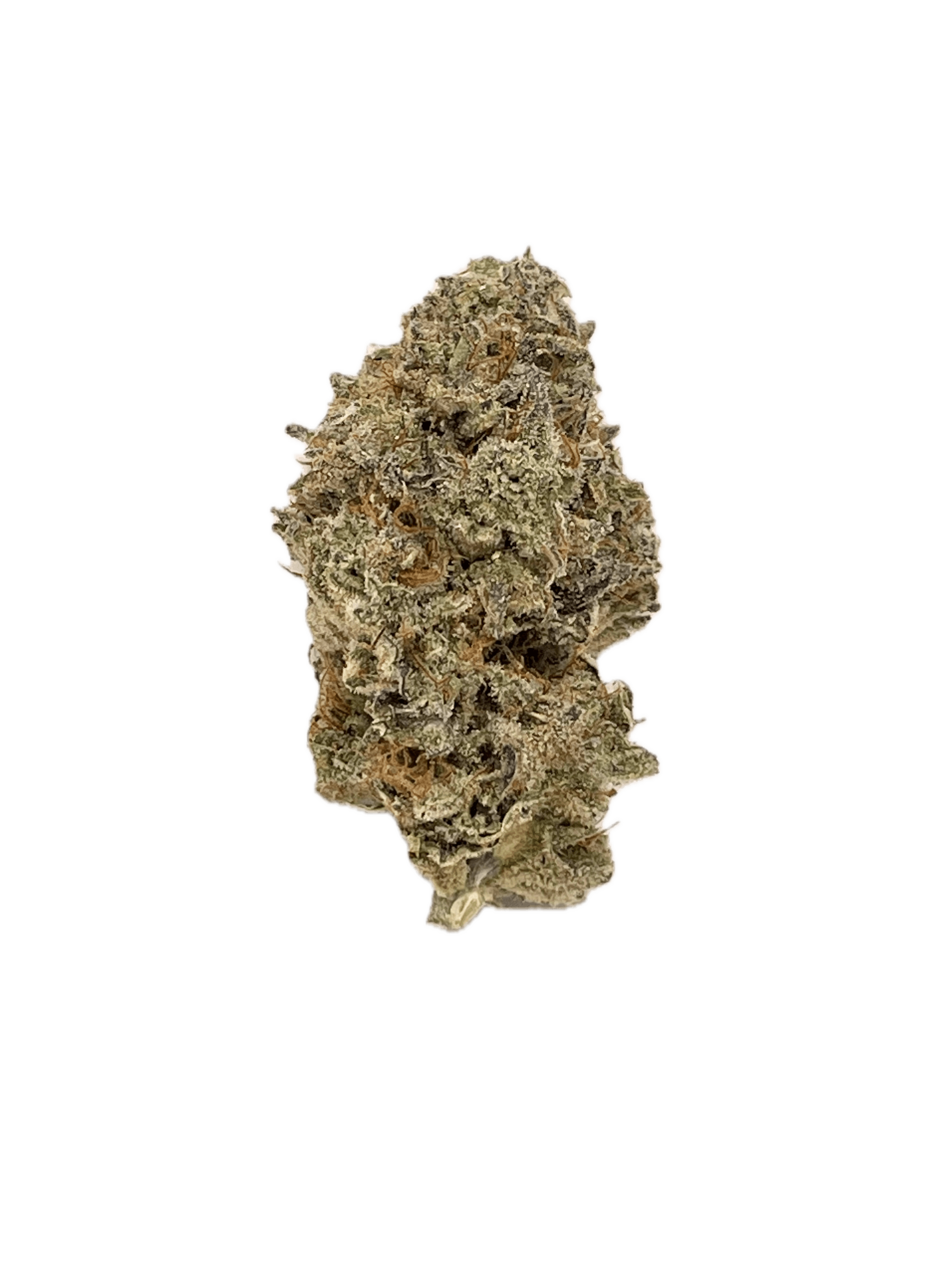 Dynastree - 🪨 Sour Pebbles 50% I 50% S - 1