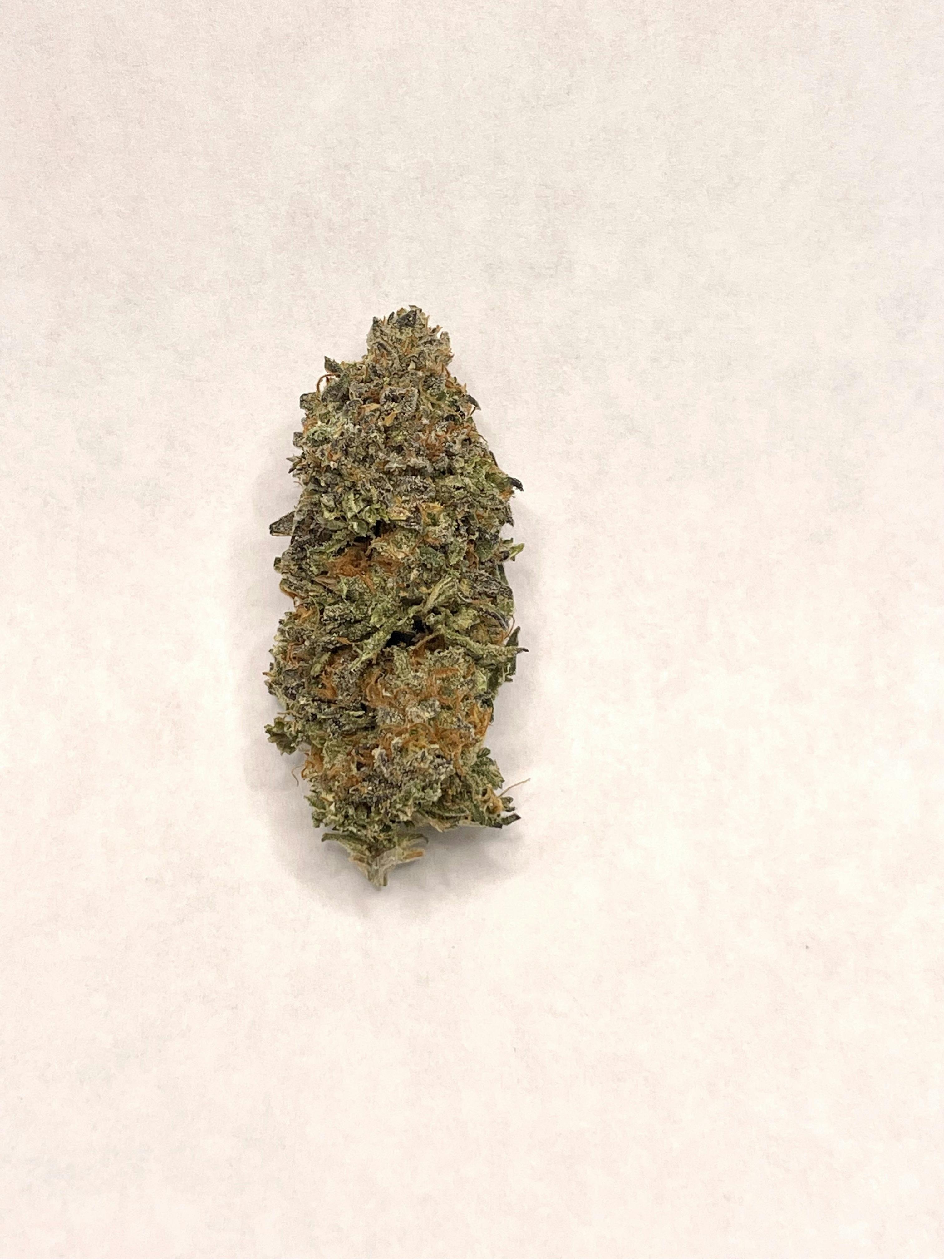 Dynastree - 🫣 Forbidden Zkittles 60% I 40% S - 1