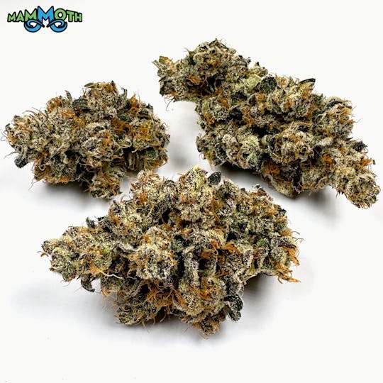Mammoth Inc - White Rainbow - 1
