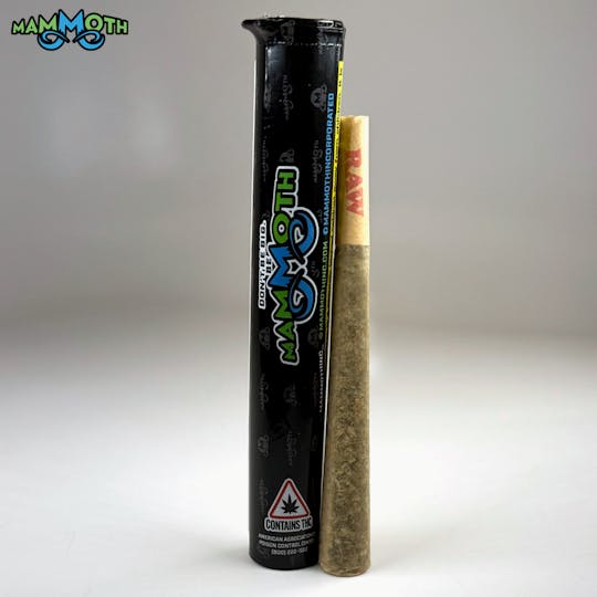 Mammoth Inc - White Rainbow - 1