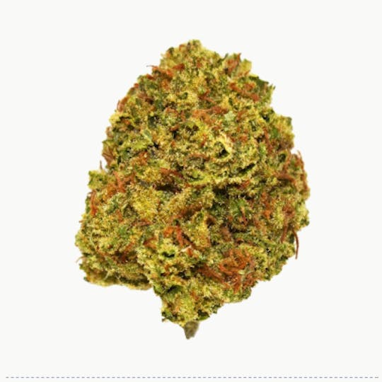 Smoakland - Sierra Hills - Cheetah Piss (S) - 28g - 1