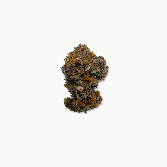 Indico - Sundae Driver - Indoor Plant Kingdom - 1