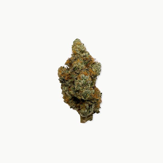 Indico - Kimbo Kush - Stella's Farm - 1