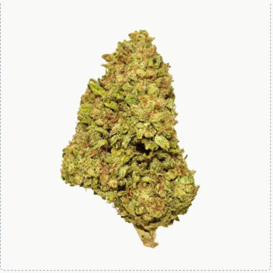 Smoakland - Black - Rainbow Belts (H) - 14g - 1