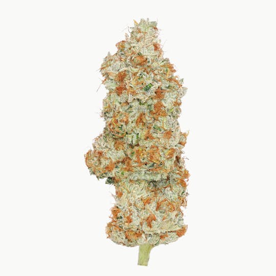 Enlighten - Tahoe OG - 1