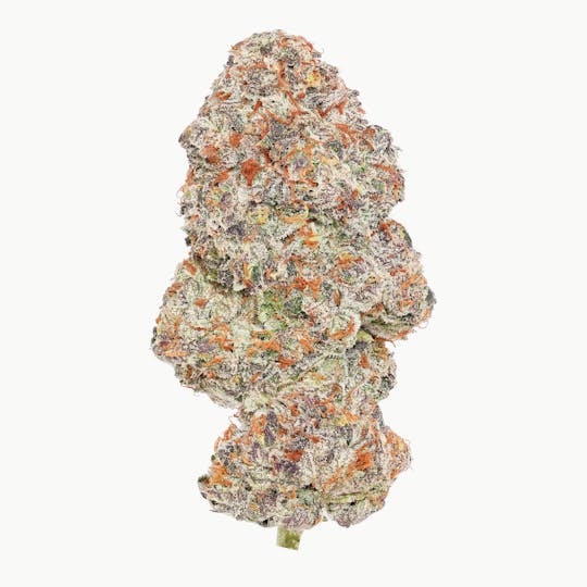Enlighten - Gastro Pop Deli Flower - 1