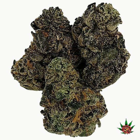 Eden Rose Processing - TIER 2 (GREEN) - APPLE FRITTER - 1