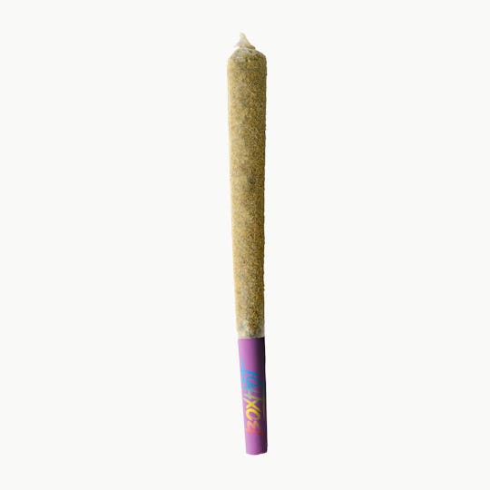 BOXHOT - Dusties XL Rainbow Burst Kief-Coated Infused Pre-Roll 1.2g - 1