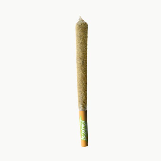 BOXHOT - Dusties XL Orange Blast Kief-Coated Infused Pre-Roll 1.2g - 1