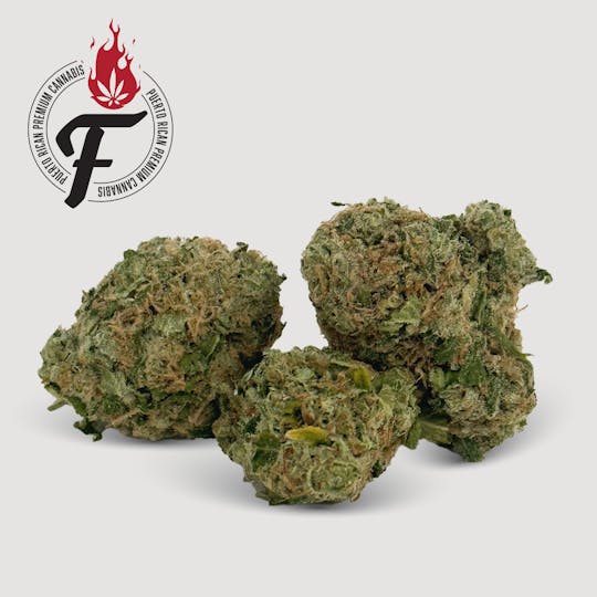 Fuego by Nature - Pineapple Euphoria - Fuego - 1