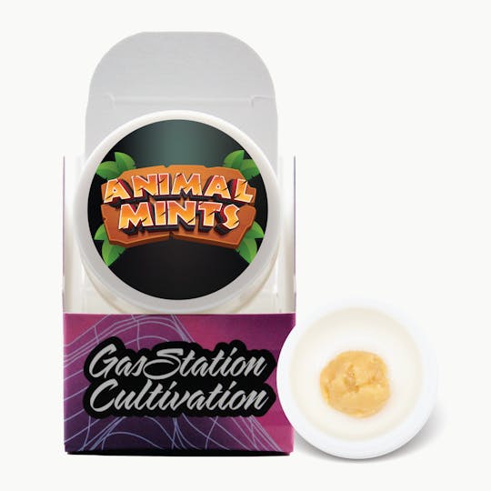 Gas Station Cultivation - Animal Mints Cured Resin Badder 1G - 1