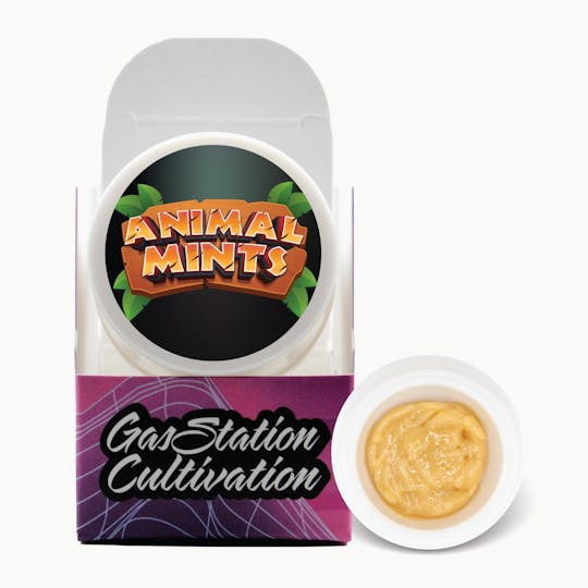 Gas Station Cultivation - Animal Mints Cured Resin Badder 3.5G - 1