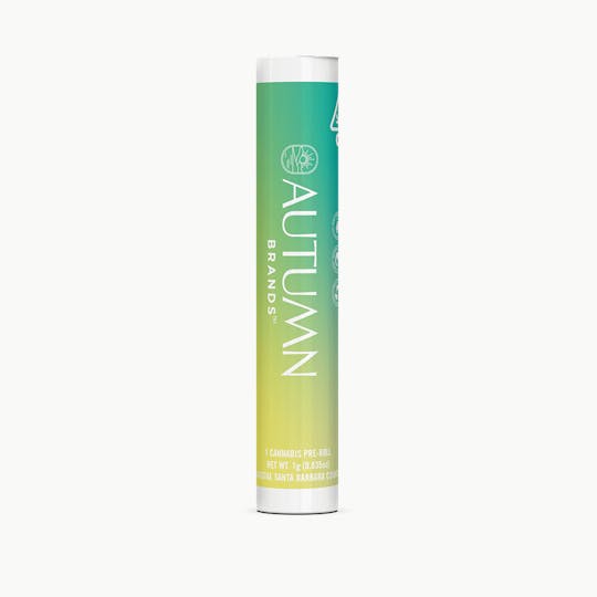 Autumn Brands - Blueberry Cobbler 1g Preroll - 1