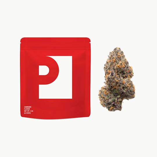 Preferred Gardens - Gary Payton Indoor Flower (New York) - 1