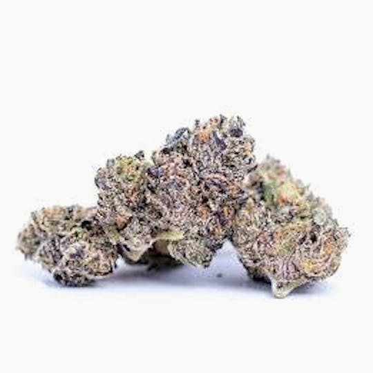 Cannafeen - RUNTZ - 1