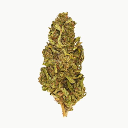 Smoakland - Exclusive - Gary Payton (H) - 28g - 1