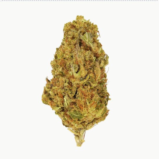 Smoakland - Exotix - Grape Soda (H) - 14g - 1