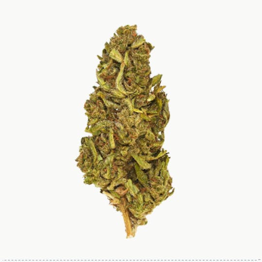 Smoakland - Xclusivez - Gary Payton (H) - 28g - 1