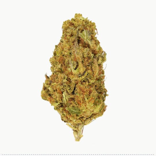 Smoakland - Exotix - Grape Soda (I) - 14g - 1