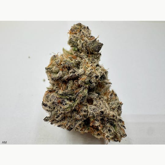 Eclipse Maine - Apple Mac - 1