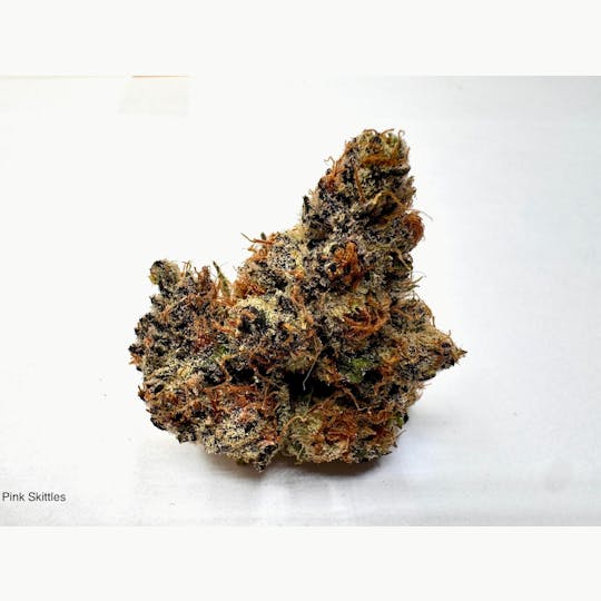 Eclipse Maine - Pink Zkittlez - 1