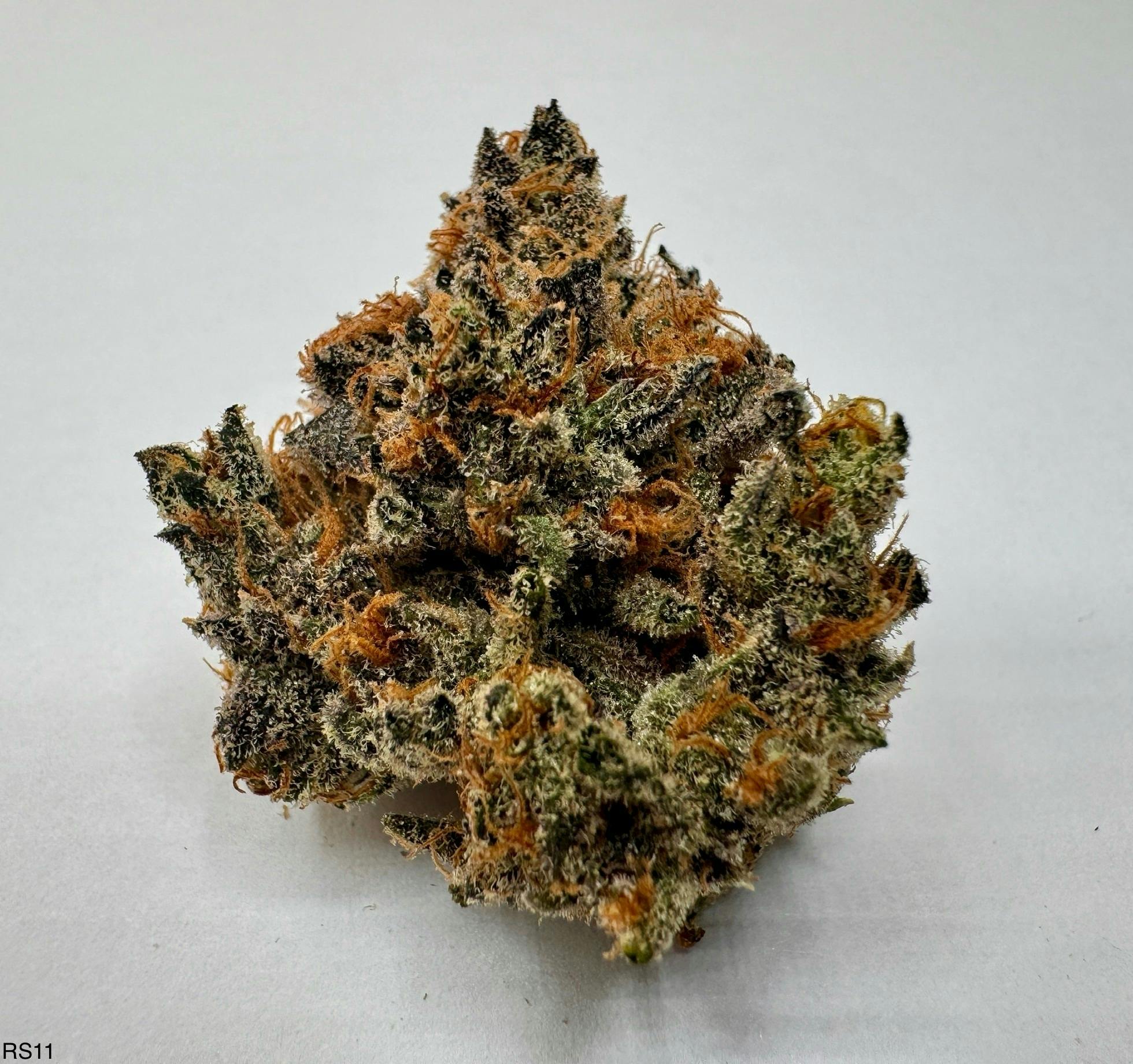 Eclipse Maine - Sherb Pop - 1