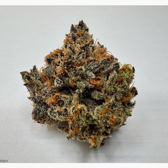 Eclipse Maine - Sherb Pop - 1