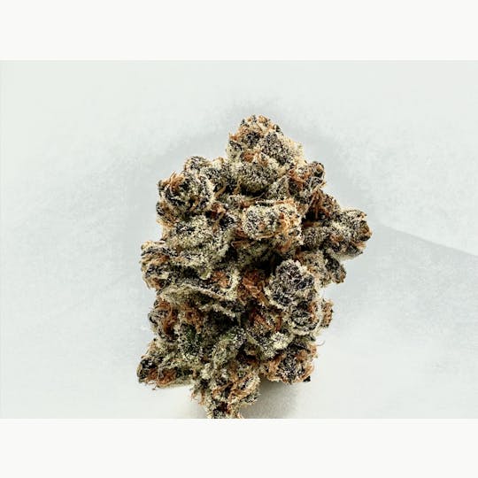 Eclipse Maine - Pure Michigan - 1