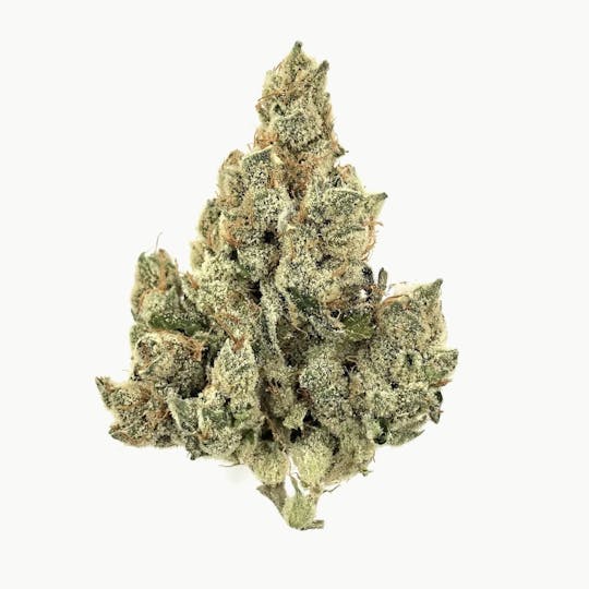 Eclipse Maine - Lonely Bones - Banana Bread - 1