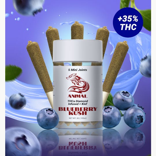 Animal - 5pk(3G) Blueberry Kush / THCa Diamond infused Joint - 1