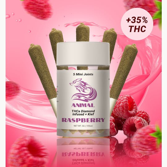 Animal - 5pk(3G) Raspberry / THCa Diamond infused Joint - 1
