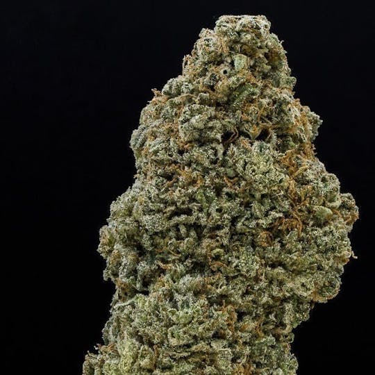 East Coast Cannabis - Silver Kush - 1