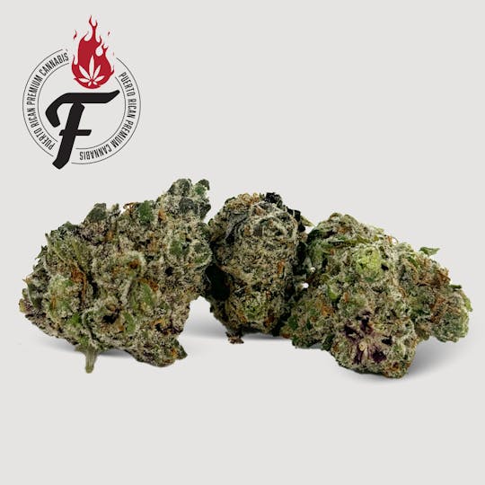 Fuego by Nature - Jamaican Jet Fuel - Fuego - 1