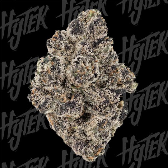 Hytek - HYTEK | POPZ 41 | BULK DELI FLOWER - 1