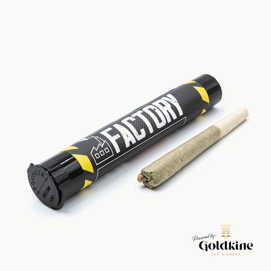 Goldkine - Factory 1G | Tropicanna Cookies - 1