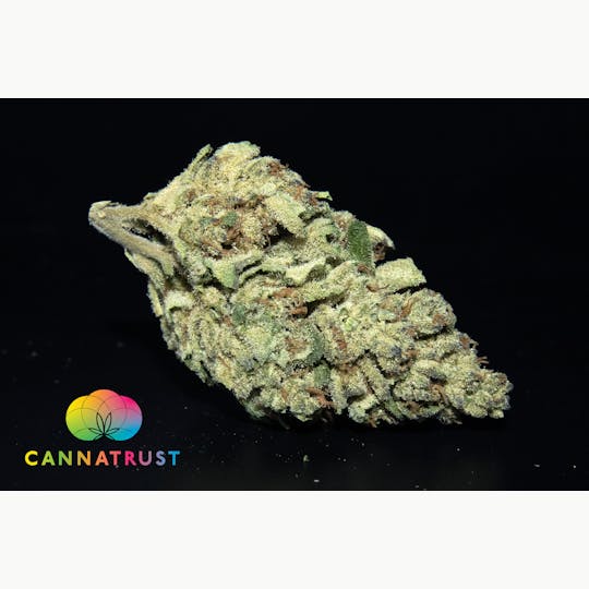 Trusty Transportations - Gelato Dosi Ounce/28.3Grams(25%THC, Indica) - 1