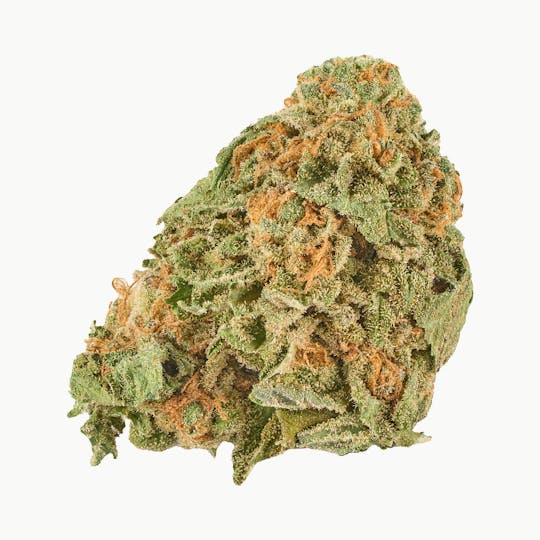 Good Supply - Grand Daddy Purps - 1