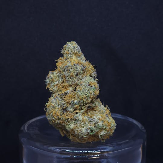 BAM Alaska - Circus Cookies .5g - 5 Pack - 1