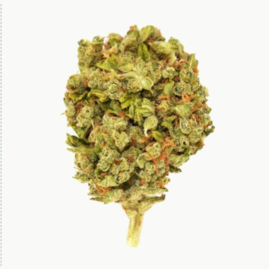 Smoakland - Exclusive - Platinum Zkittlez (H) - 28g - 1