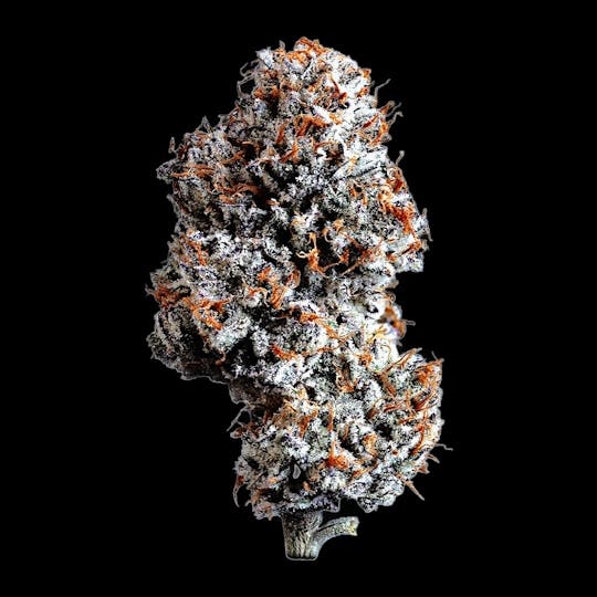 Auraz - Premium Flower | Zoap - 1