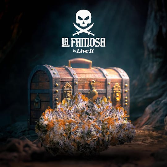 Live It - LIVE IT BUDS | LA FAMOSA - 1