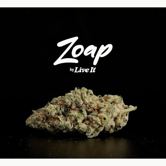 Live It - LIVE IT BUDS | ZOAP - 1