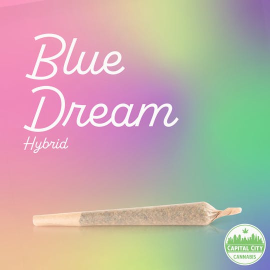 Capital City - 1.5g Infused Pre-roll - Blue Dream - 1