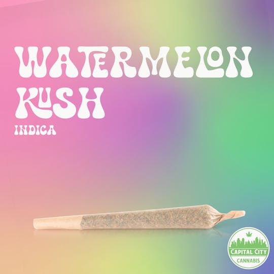 Capital City - 1.5g Infused Pre-Roll - Watermelon Kush - 1