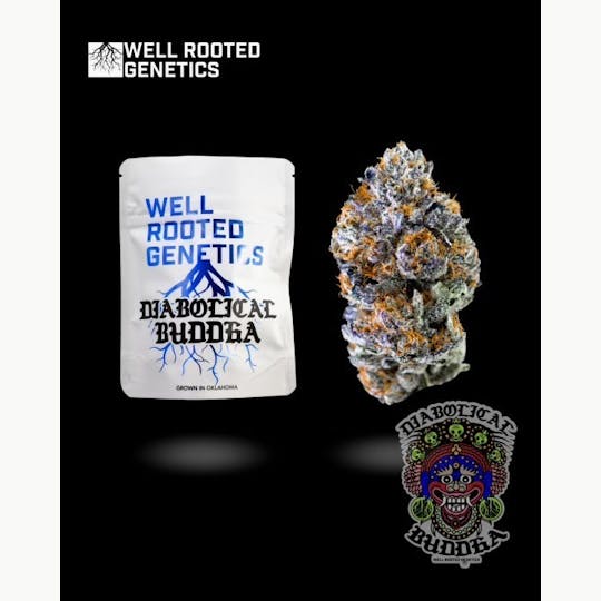 Well Rooted Genetics - Diabolical Buddha - 1