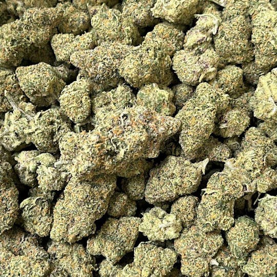 Top Shelf Express - Cheetah Piss Budlets OZ (28g) - 1