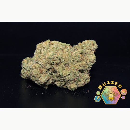 Trusty Transportations - Cheetah Piss 1/4 Ounce/7Grams(25%THC, Hybrid) - 1